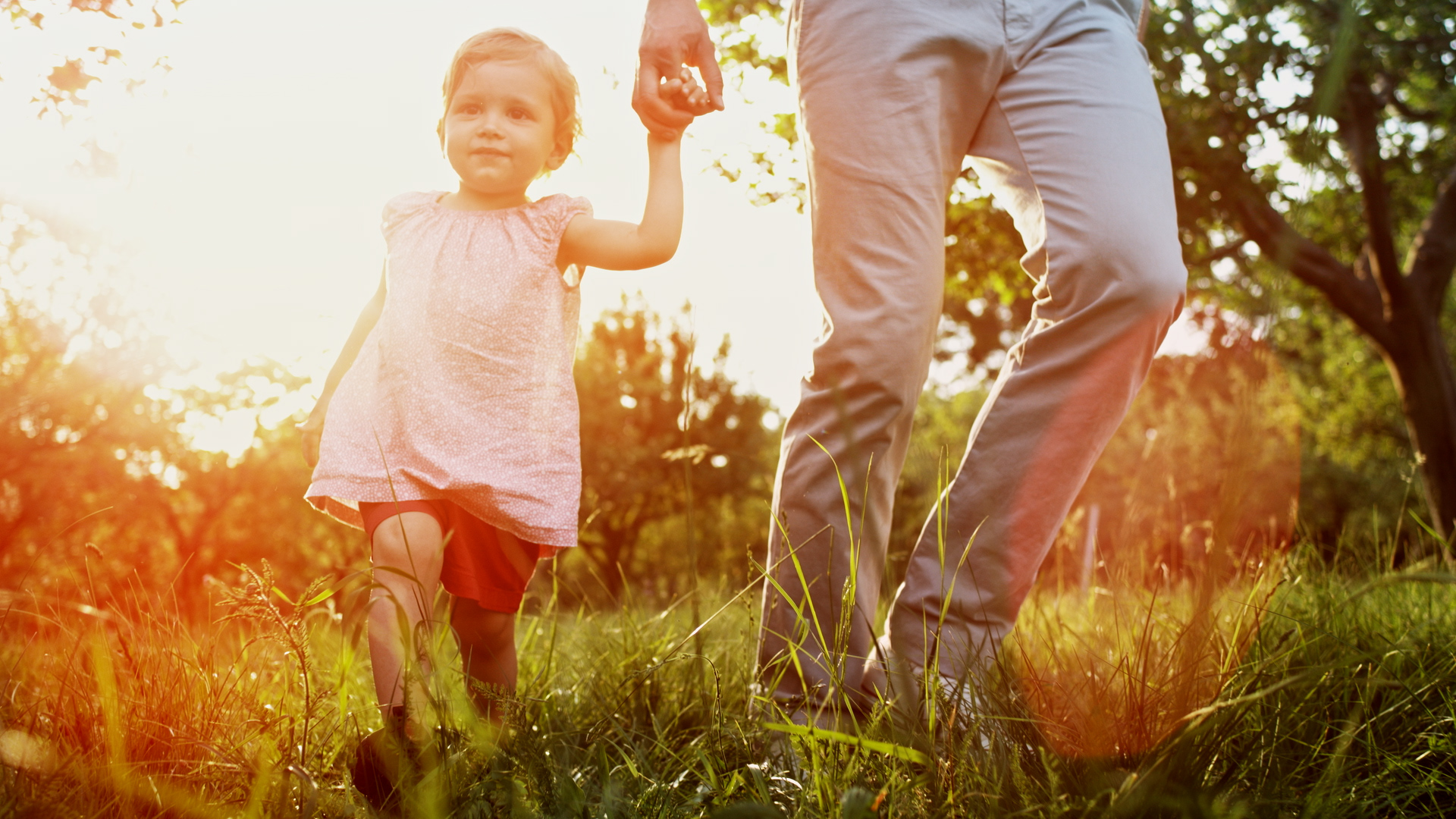 Gainwell Genius Insights Overview
